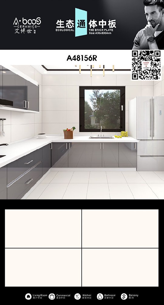 A48156R